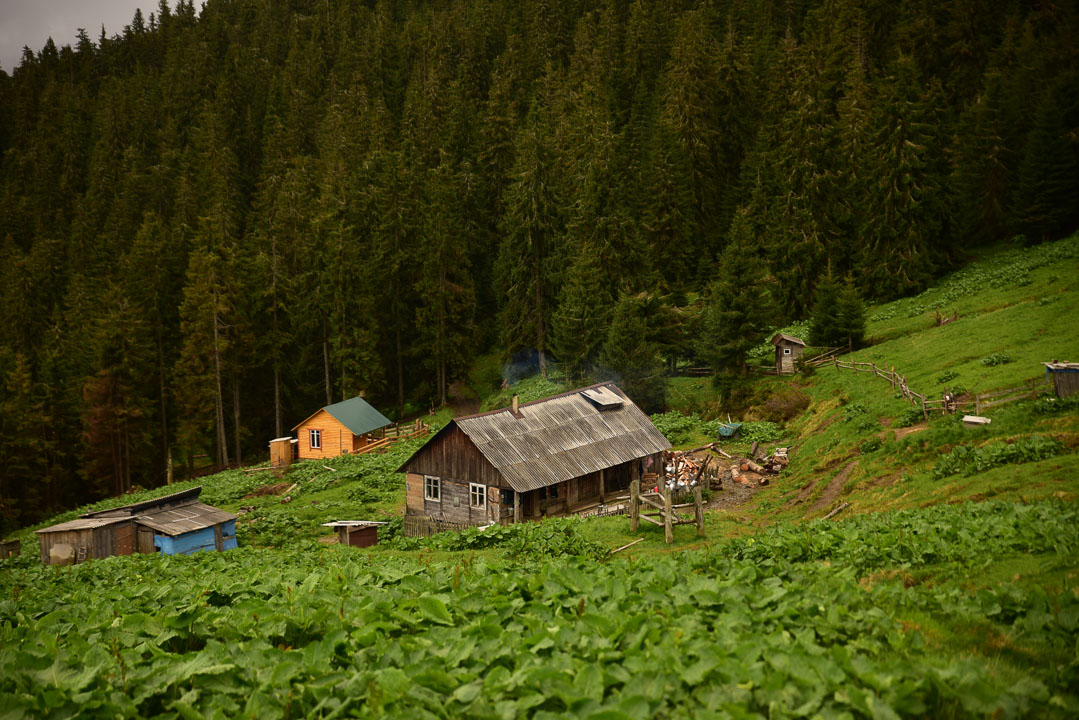 Полонина «Щівник»