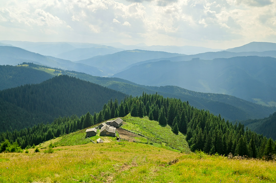 Полонина «Скупова»
