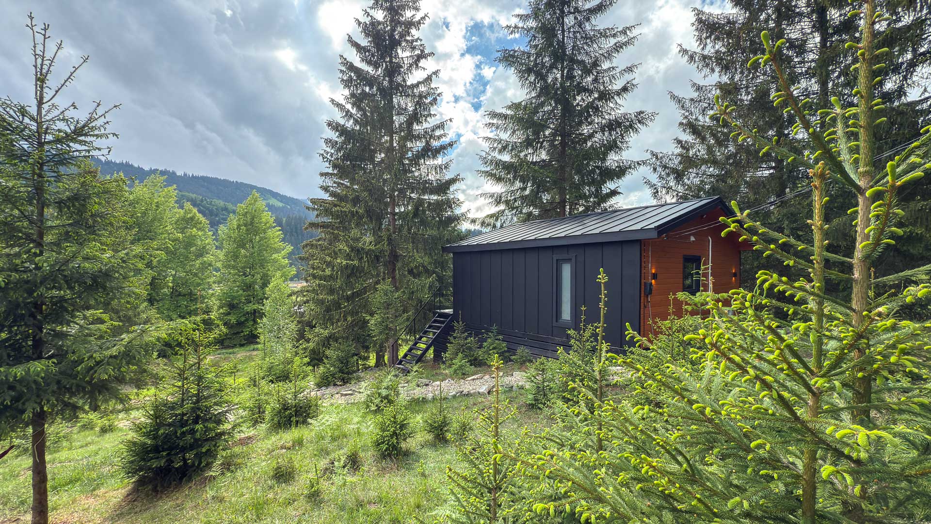 Будиночок «Tree House» село Ільці