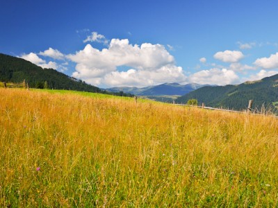 Літній відпочинок в Карпатах